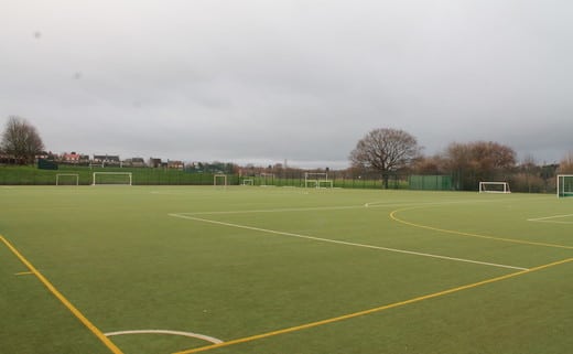 regular_Newbold_-_Astro turf 2