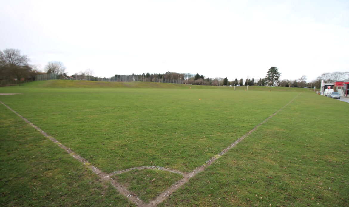 West notts - Grass pitch (4)