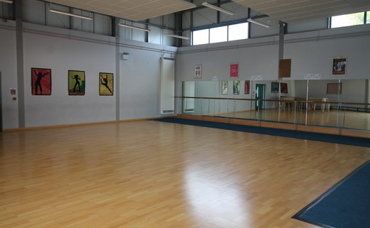 regular_Lostock_High_-_Dance_studio__5_