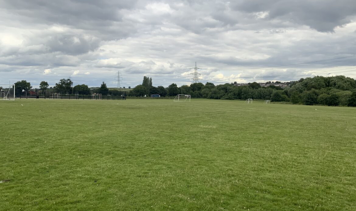 Grass pitchs