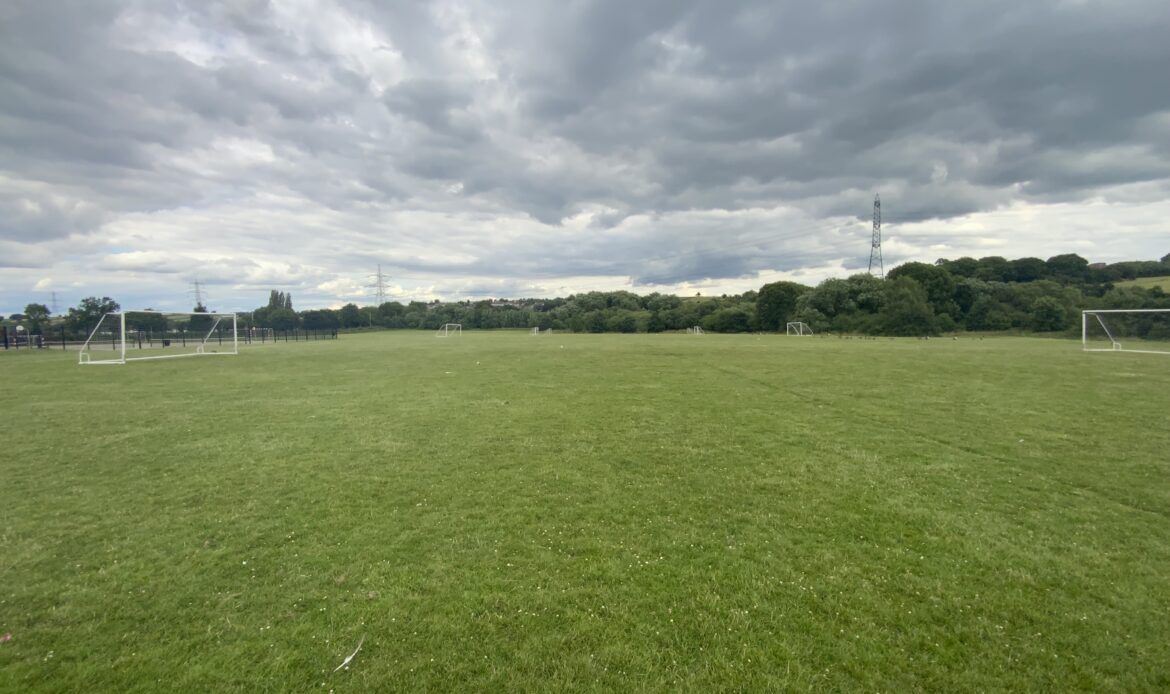 grass pitches 1