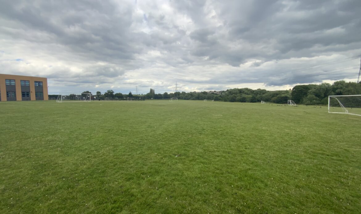 grass pitches 2
