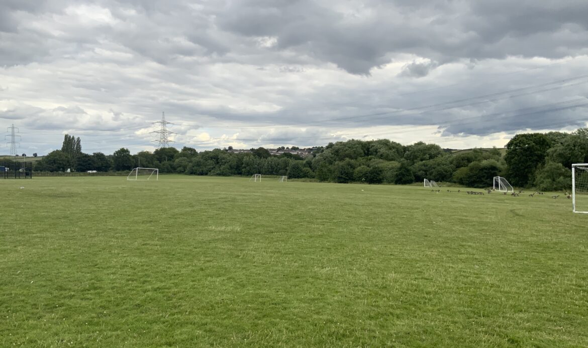 grass pitches 3
