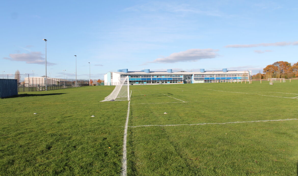 grass pitch picture 1