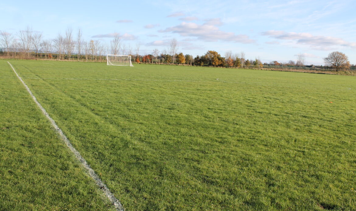 grass pitch picture 2 (2)