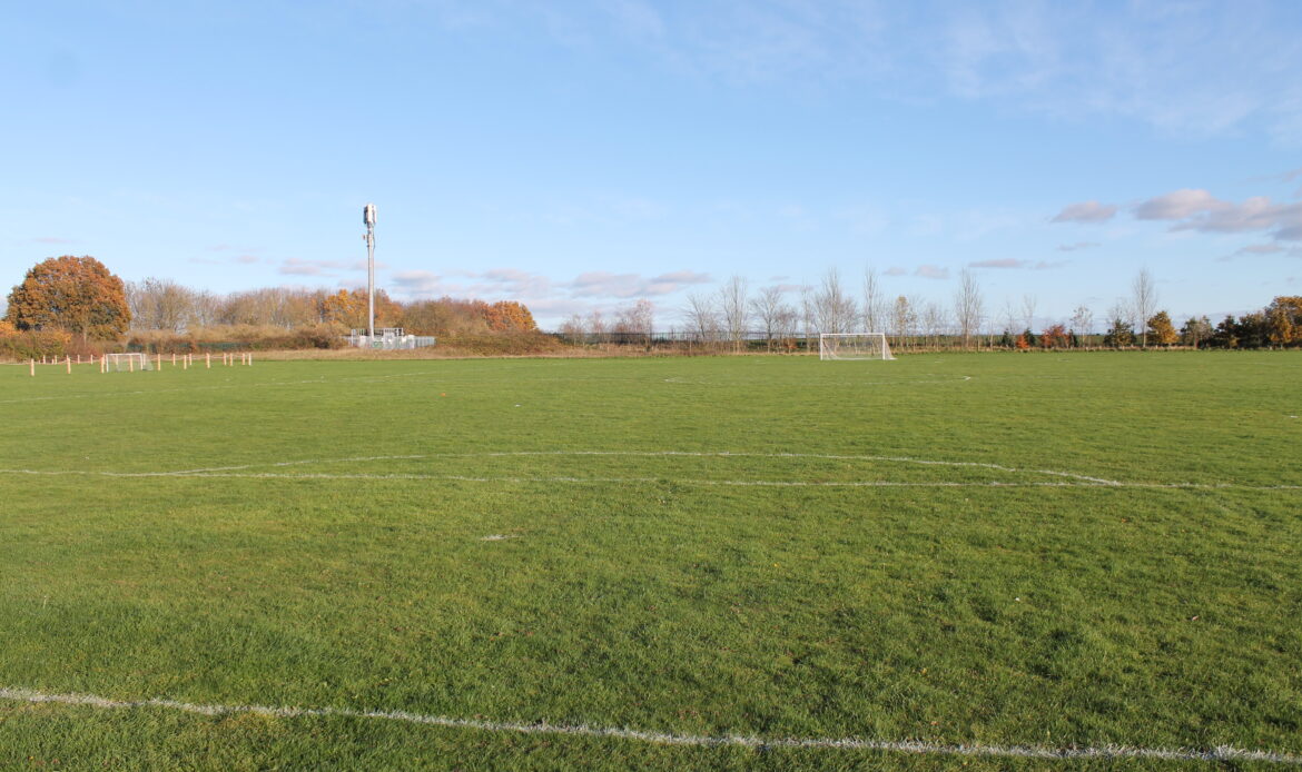 grass pitch picture 3