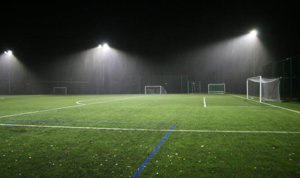 Lady Manners - 3G Pitch - Full Pitch2